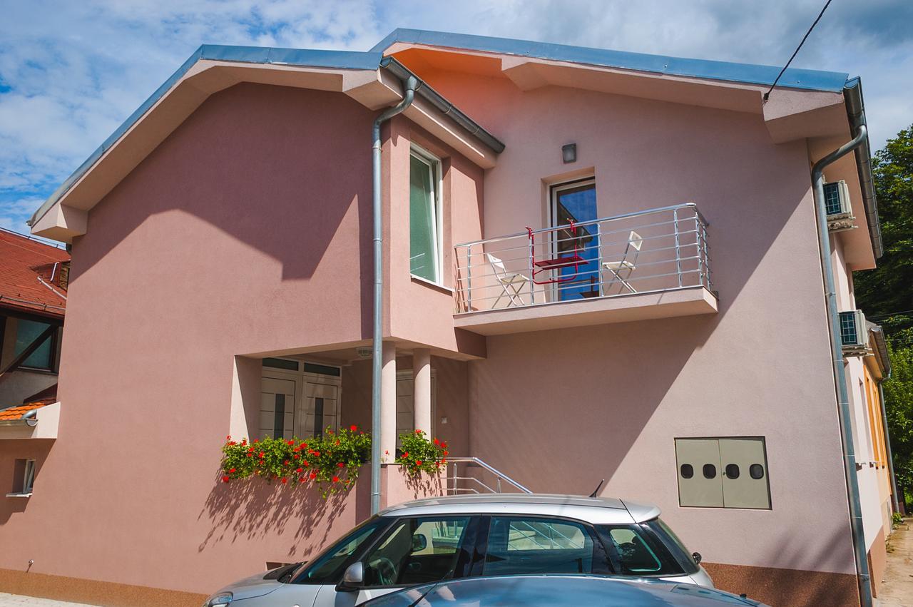 Apartmani "Stefanovic" Сокобаня Экстерьер фото